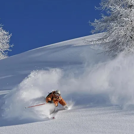 Abacus Διαμέρισμα *